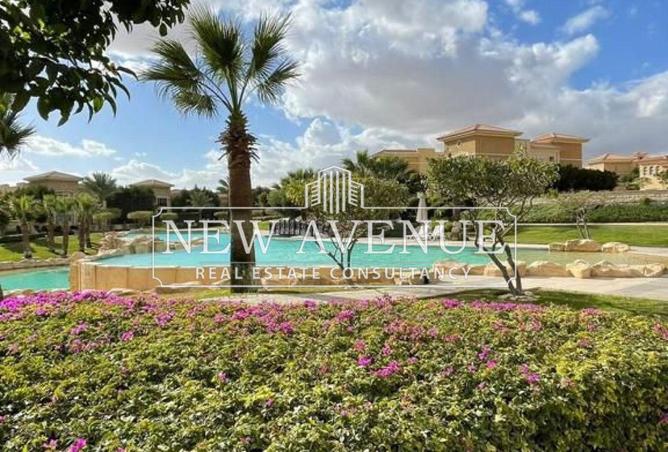 8164164 - صورة العقار 3