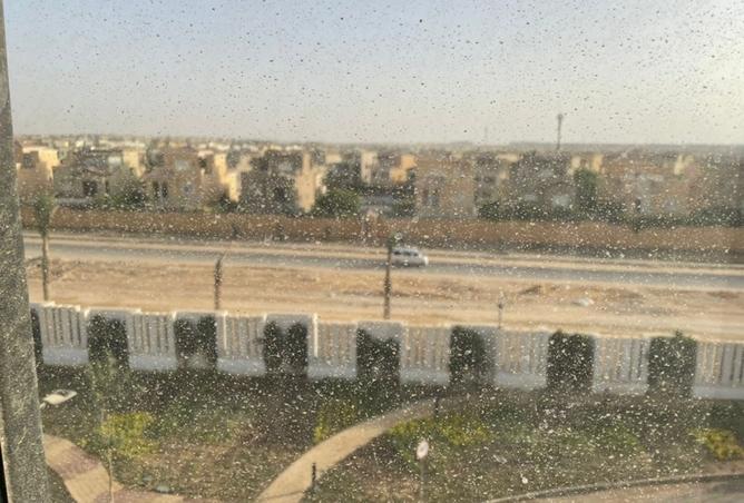 7900589 - صورة العقار 3