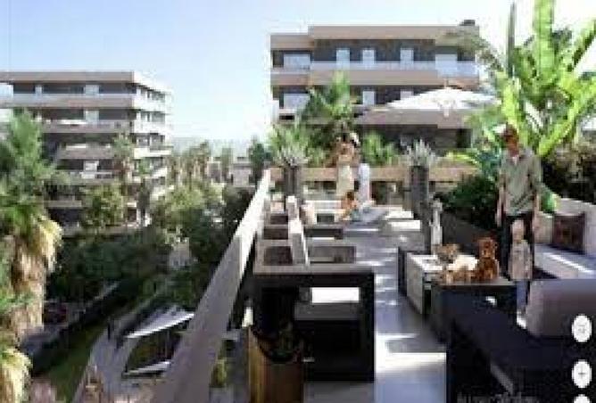 8154349 - Property Image 3