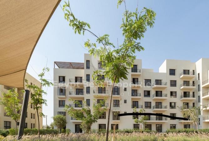 8557648 - Property Image 3