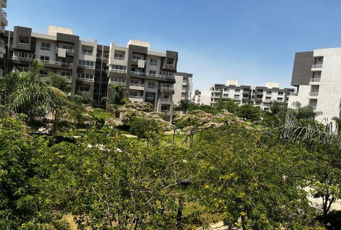 7984520 - Property Image 3