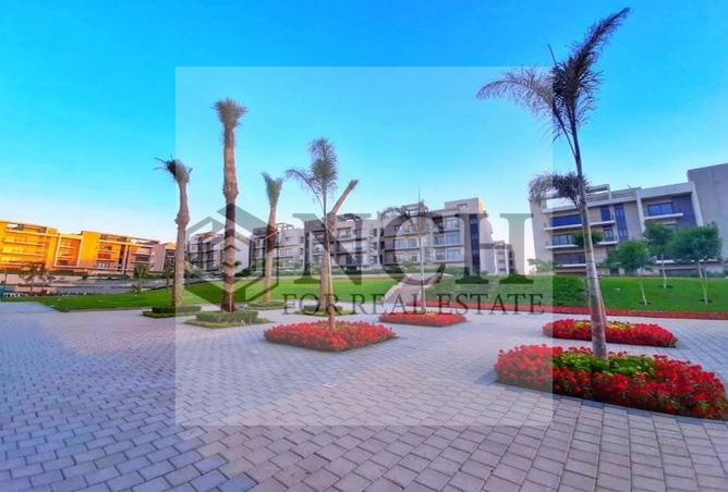 8195537 - Property Image 2