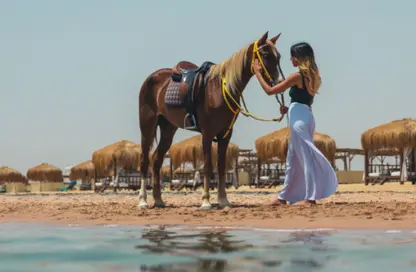 شاليه - غرفة نوم - 2 حمامات للبيع في رأس سوما - سفاجا - الغردقة - محافظة البحر الاحمر
