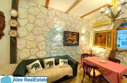 Apartment - 1 Bedroom - 1 Bathroom for rent in Stanley Bridge - Stanley - Hay Sharq - Alexandria
