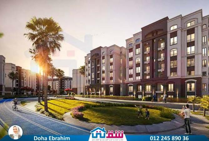 8161997 - Property Image 3