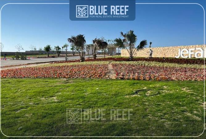 8405649 - Property Image 3