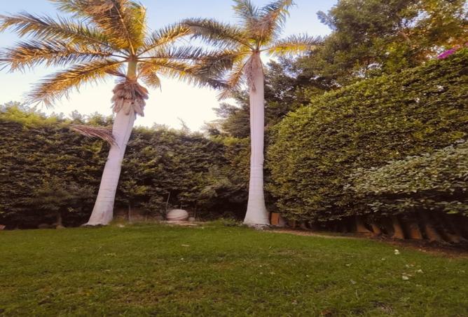 8401871 - صورة العقار 2