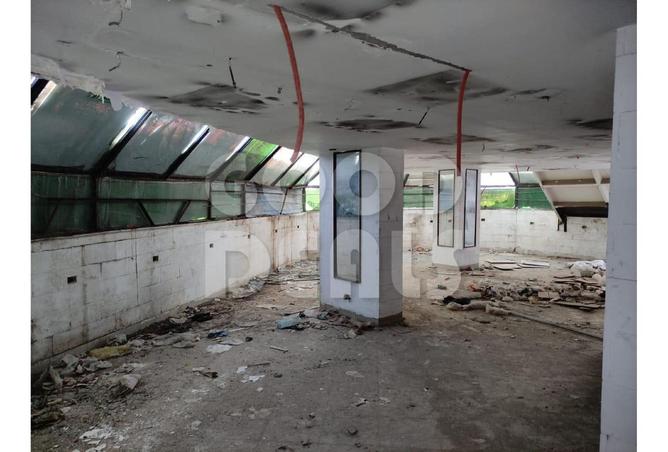 8402346 - صورة العقار 2