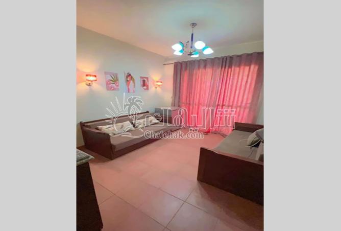 8383167 - Property Image 3