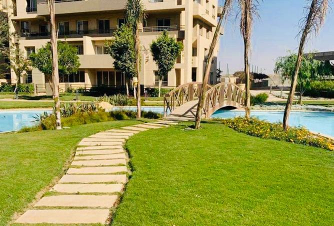 8169265 - صورة العقار 2