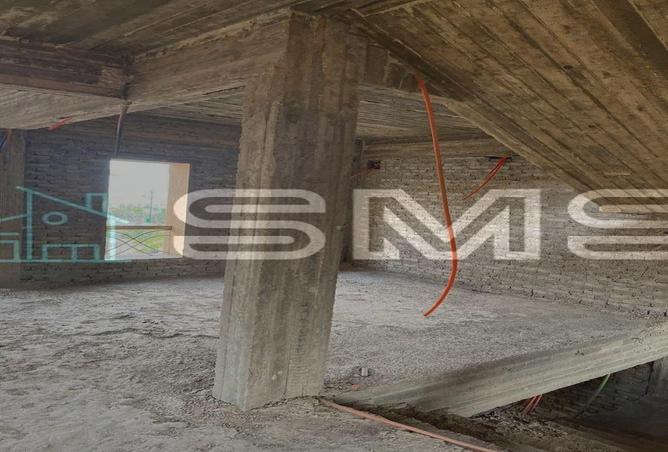 7979942 - Property Image 3