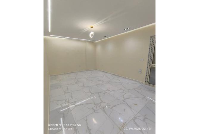 7985848 - Property Image 3