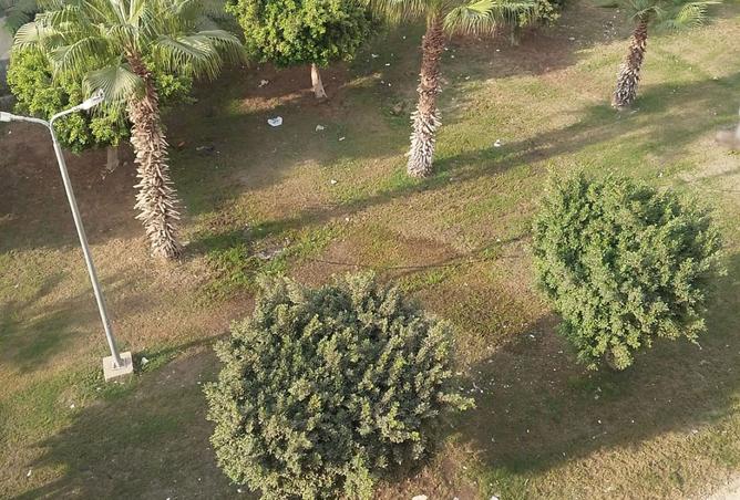 8301238 - صورة العقار 3