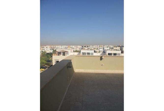 8060568 - Property Image 3