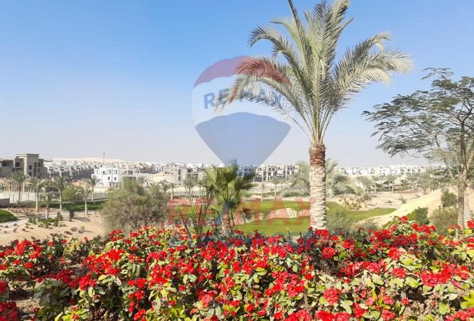 8076185 - صورة العقار 3