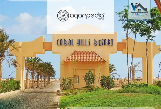 8159275 - Property Image 3