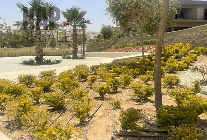 7909161 - صورة العقار 2