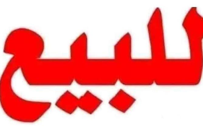 8374649 - Property Image 3