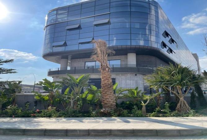 8178909 - Property Image 2