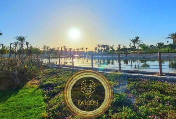 8131019 - Property Image 3