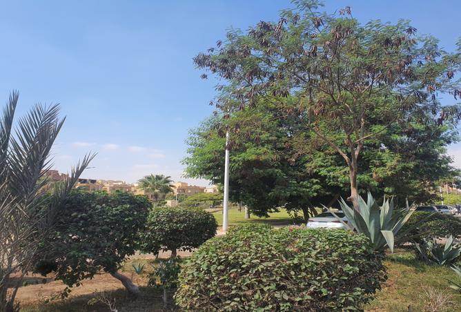 7989128 - Property Image 3
