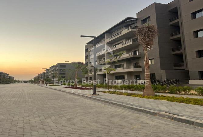 7981477 - صورة العقار 3