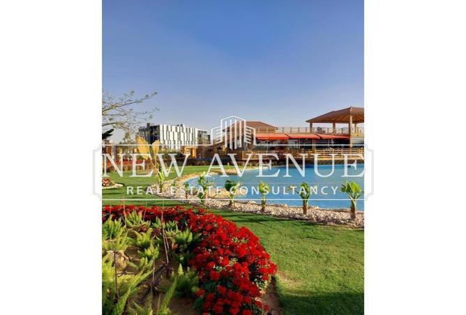 8175520 - Property Image 3