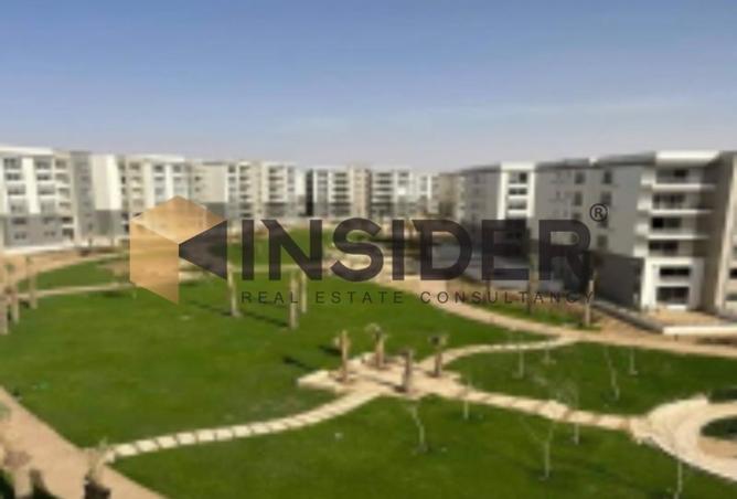 7937681 - صورة العقار 2