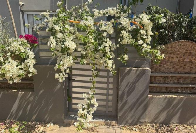 8363401 - صورة العقار 3