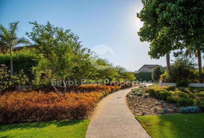 8254416 - Property Image 3