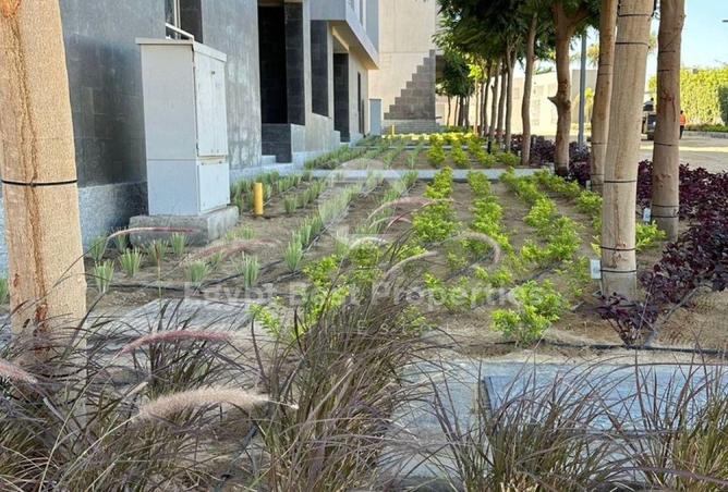 8434709 - الصورة الرئيسية للعقار