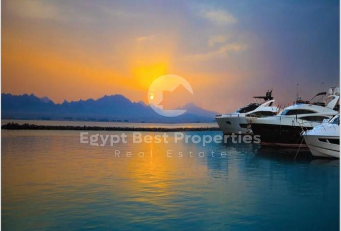 7984351 - Property Image 3