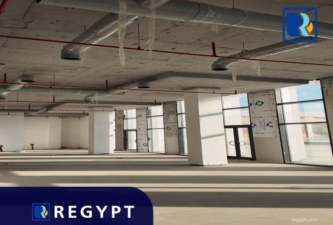 8495014 - Property Image 3