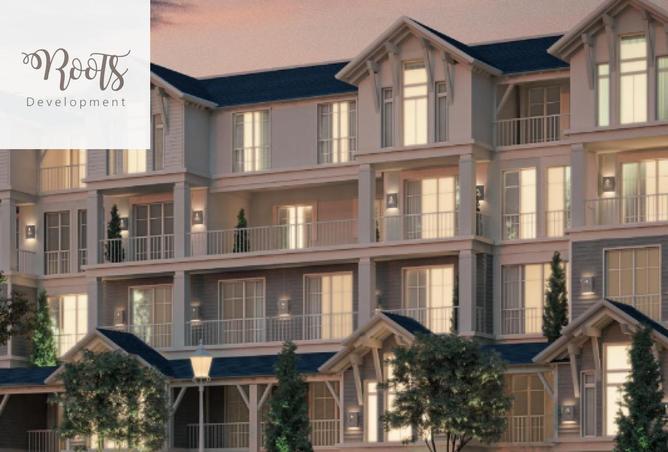 8365625 - Property Image 3