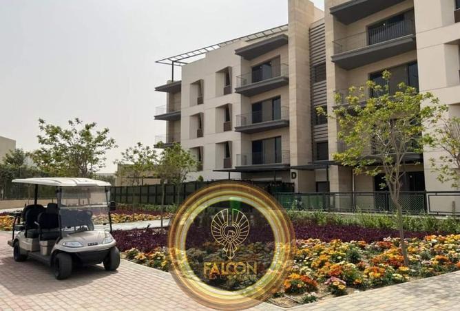 8076524 - Property Image 3