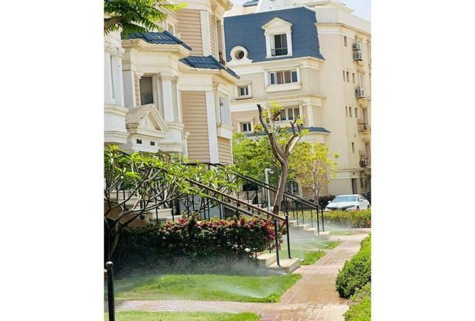 8241293 - Property Image 3