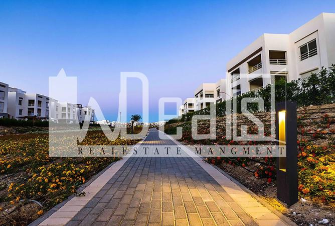 8404326 - صورة العقار 3