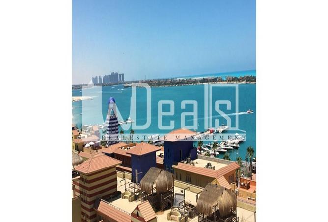 8335171 - Property Image 3