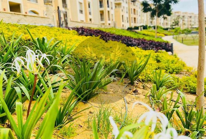 7942784 - صورة العقار 2