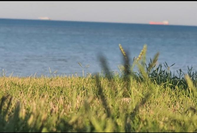 8005214 - صورة العقار 3