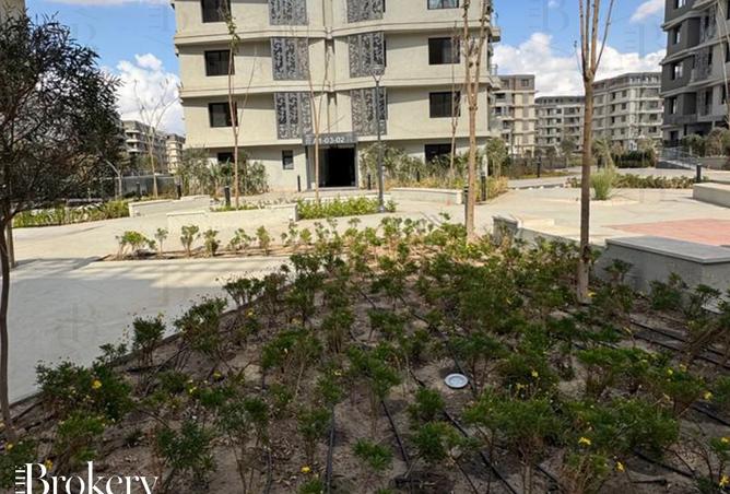 8395350 - Property Image 2