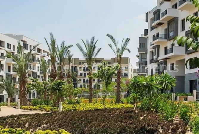 7926685 - Property Image 3