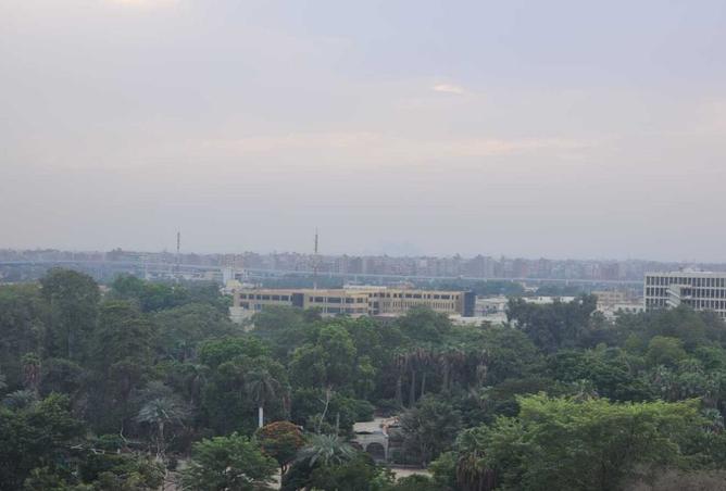 8281871 - صورة العقار 2