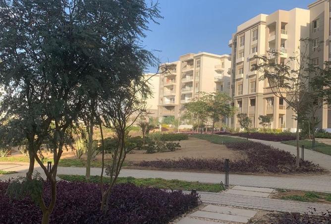 8533906 - Property Image 2