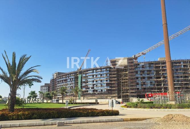 8347345 - Property Image 3