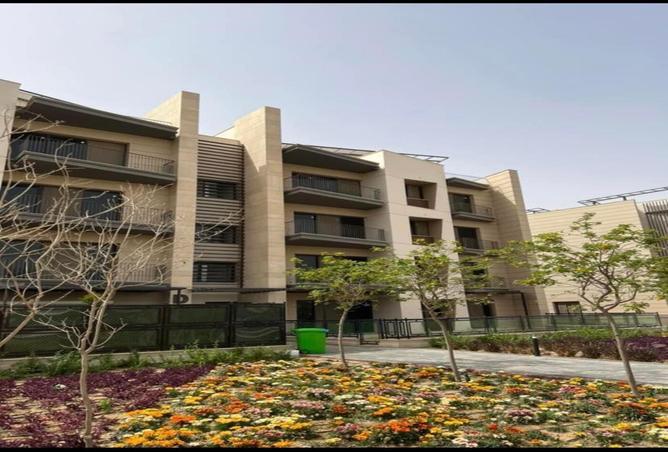 7981970 - Property Image 3