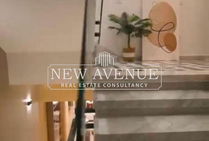 8277088 - Property Image 3