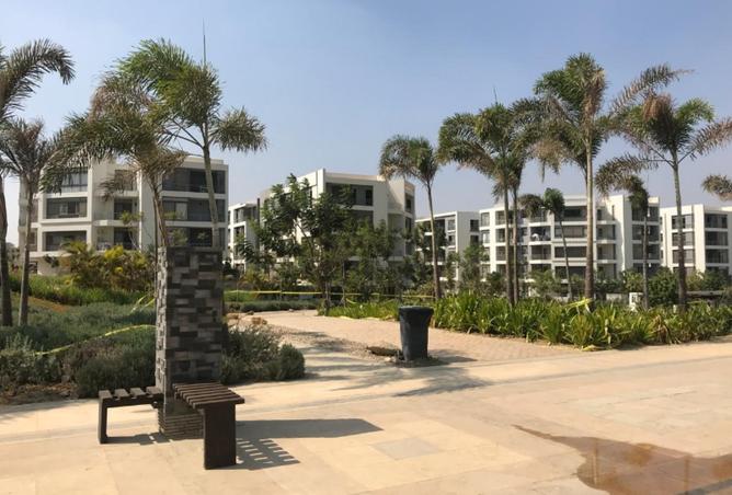 8419878 - Property Image 2