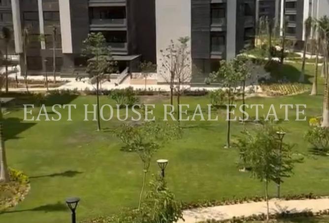 8058929 - Property Image 3