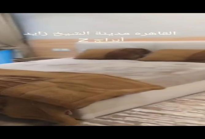 8505782 - Property Image 3